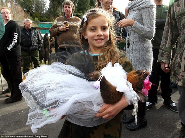 Best-Dressed Dead Possum Competition