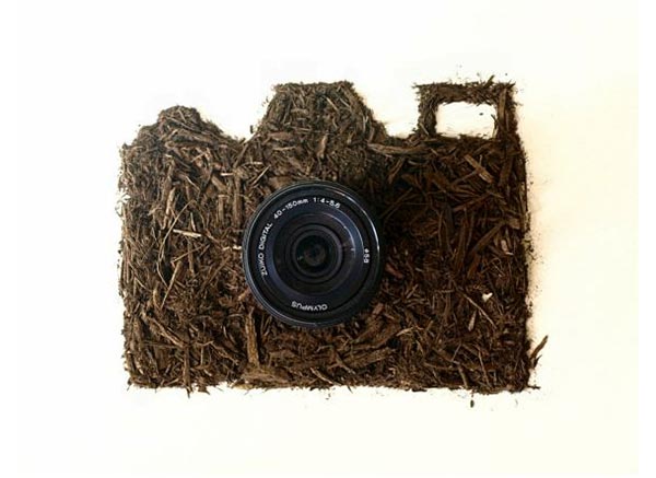 Dirty Little Secrets: Dirt Illustrations by Sarah Rosado