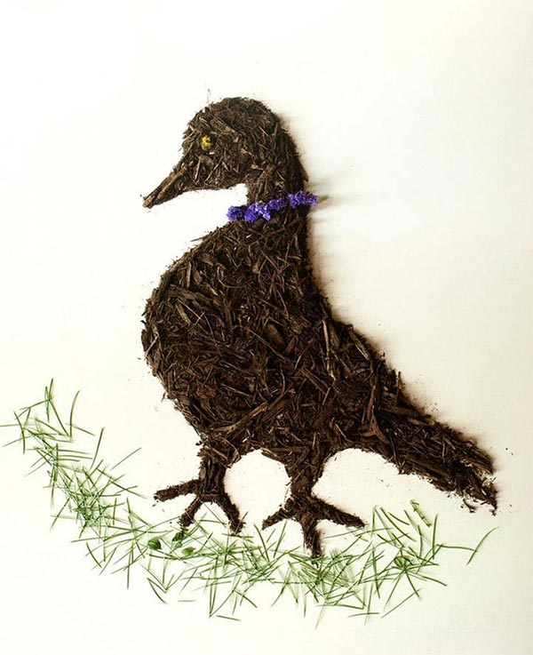 Dirty Little Secrets: Dirt Illustrations by Sarah Rosado