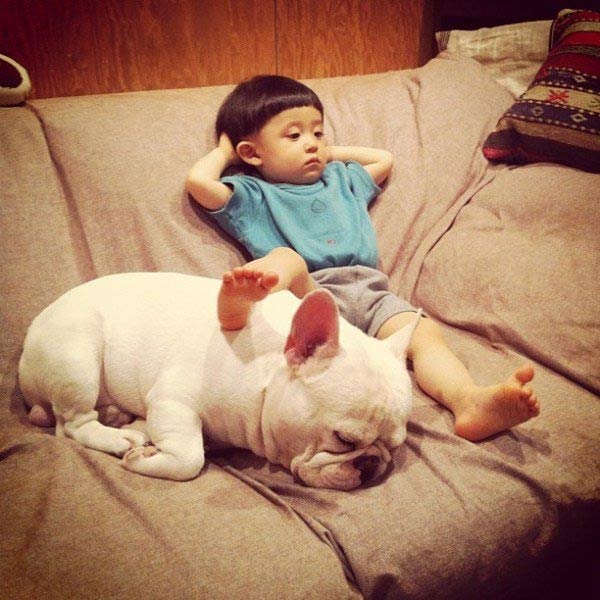 Japanese Boy and His Bulldog Friend
