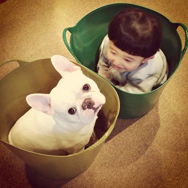 Japanese Boy and His Bulldog Friend