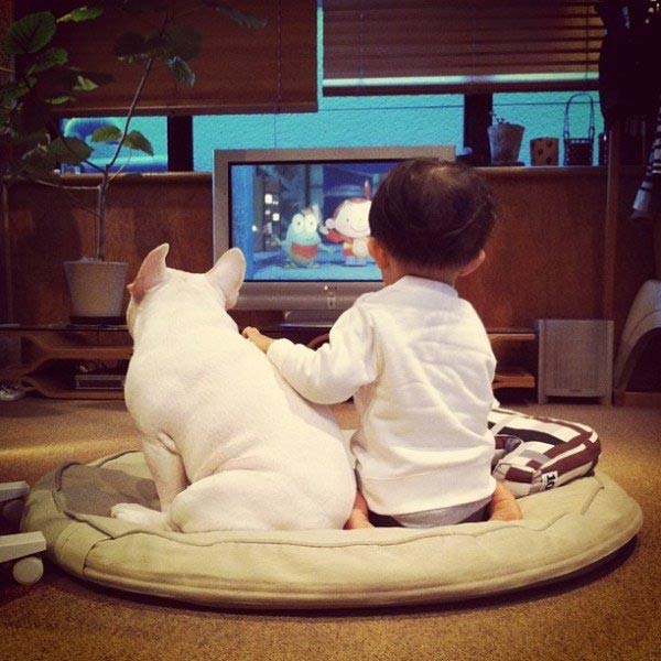 Japanese Boy and His Bulldog Friend