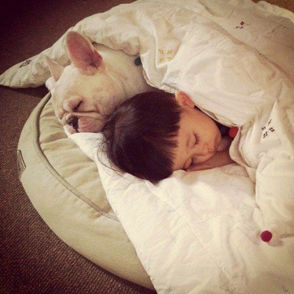 Japanese Boy and His Bulldog Friend