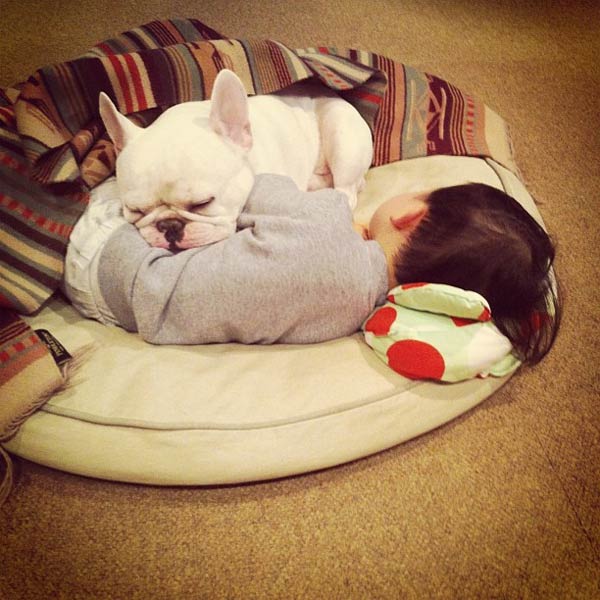 Japanese Boy and His Bulldog Friend