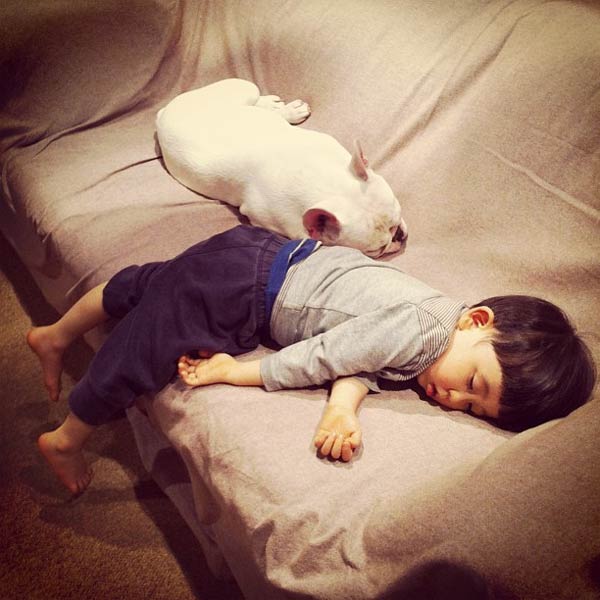 Japanese Boy and His Bulldog Friend