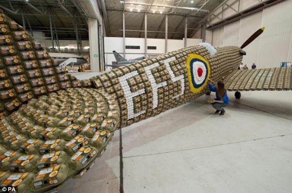 Llife-Size Spitfire Made From 6,500 Egg Boxes