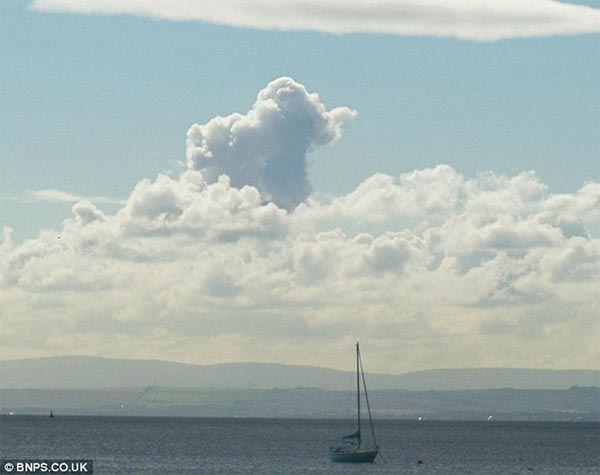 Elephant-Shaped Cloud