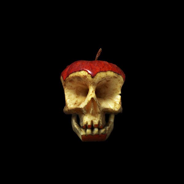 Fruit & Vegetable Skulls by Dimitri Tsykalov