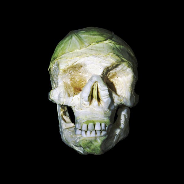 Fruit & Vegetable Skulls by Dimitri Tsykalov