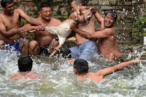 Bizarre Baby Goat Drowning Ritual