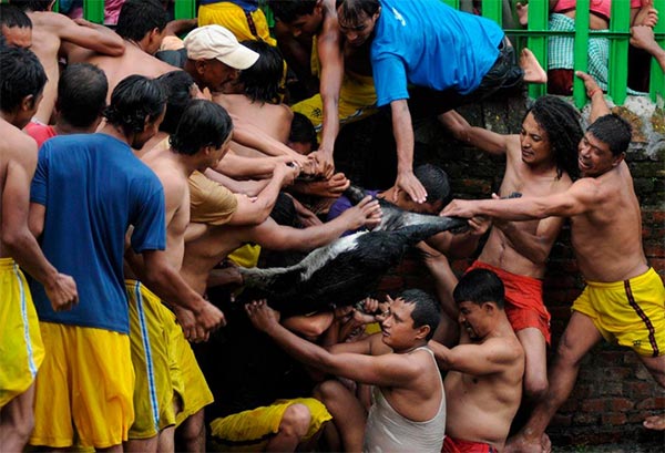 Bizarre Baby Goat Drowning Ritual