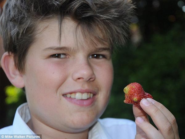 Guinea Pig Shaped Strawberry