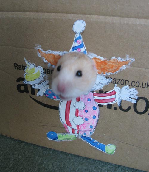 Adorable Hamster Dresses Up in Cardboard Cutouts