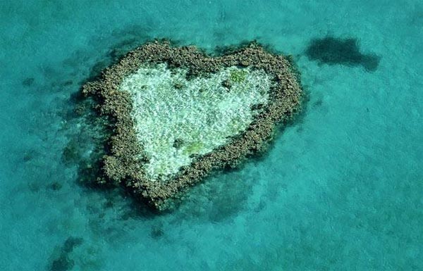 Gigantic Hearts From Above