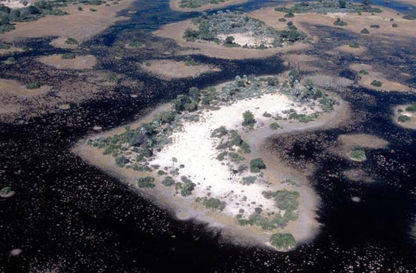 Gigantic Hearts From Above