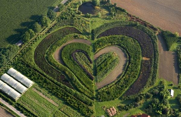 Gigantic Hearts From Above