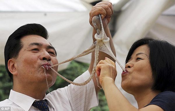 South Koreans Eating Live Octopus