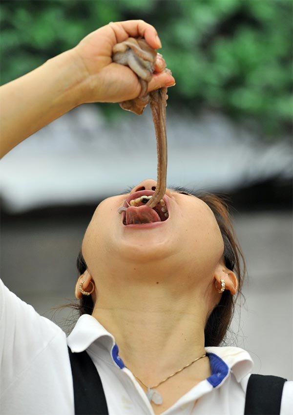 South Koreans Eating Live Octopus