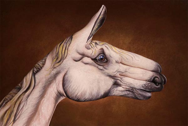 Creative Hand Paintings by Guido Daniele