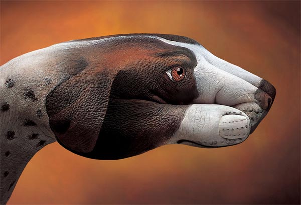 Creative Hand Paintings by Guido Daniele