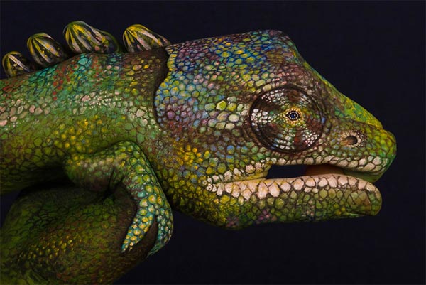 Creative Hand Paintings by Guido Daniele