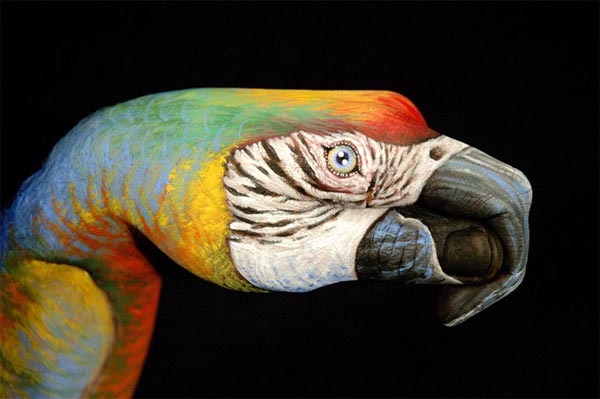 Creative Hand Paintings by Guido Daniele