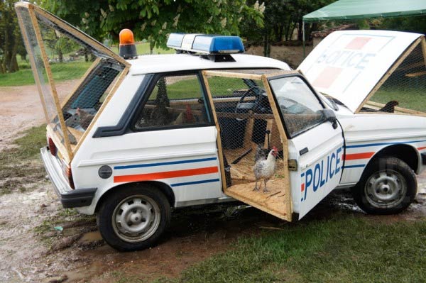 Police Car Transformed Into A Chicken Coop