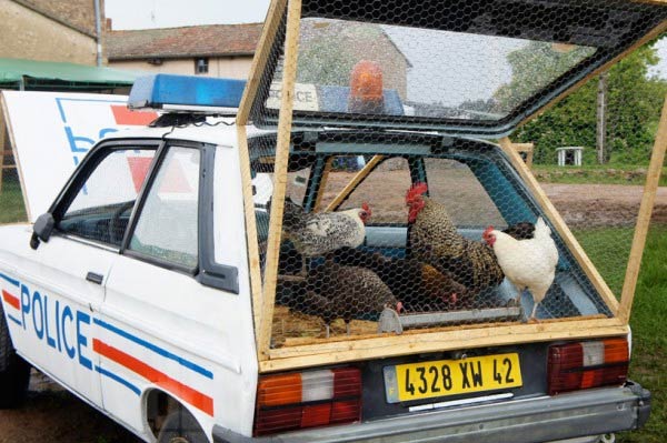 Artist Re-purposes A police Car As A Chicken Coop