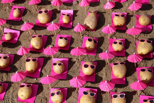 Urban Food Art Installation