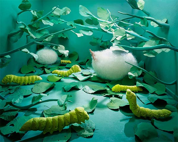 Single Room Surreal Photography by Jee Young Lee