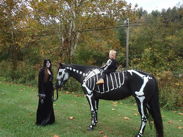 Skeleton Horse For Halloween