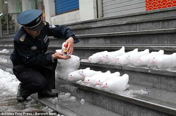 Security Guard in China Creates Snow Birds