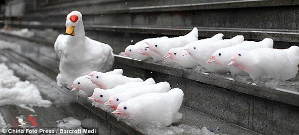 Security Guard in China Creates Snow Birds