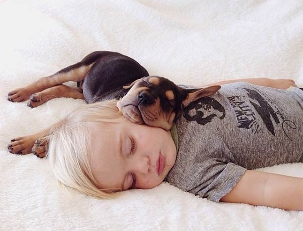 Toddler Sleeping with Dog