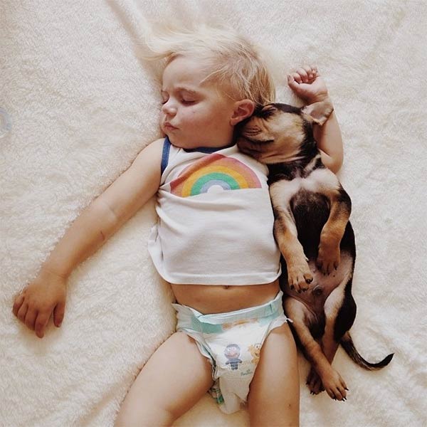  Toddler naps with his 2-month-old puppy