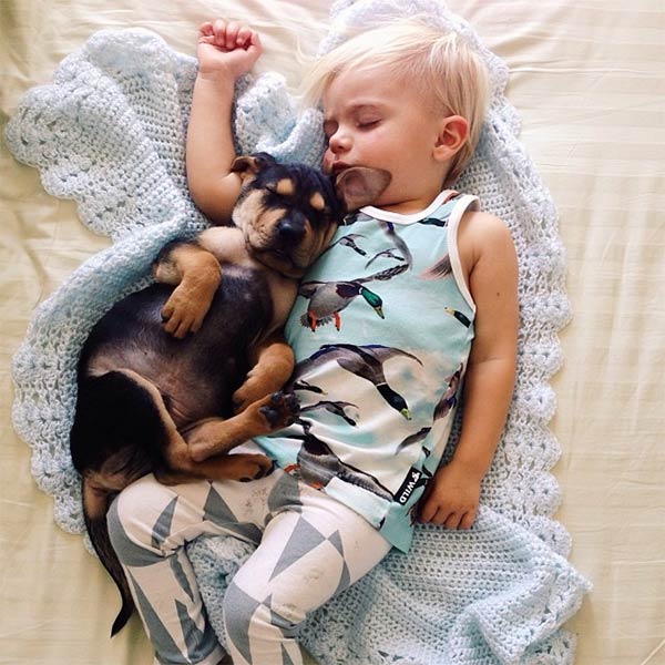 Adorable Photos of a Toddler Napping with His Puppy