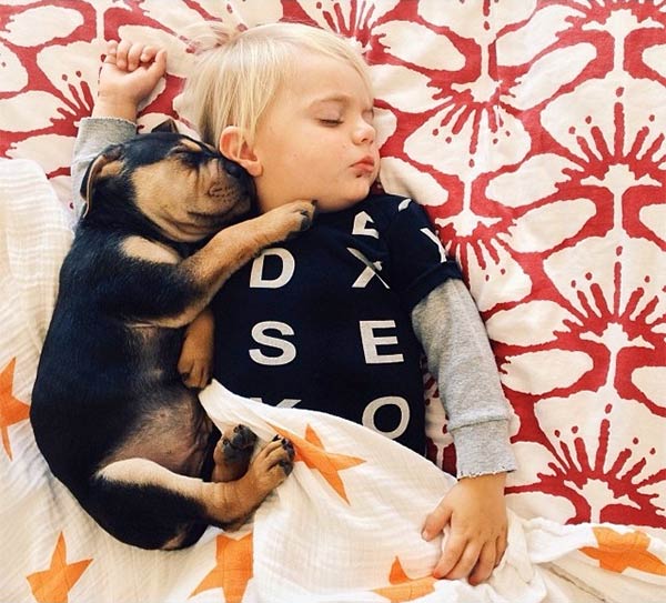 Toddler Napping with His Puppy