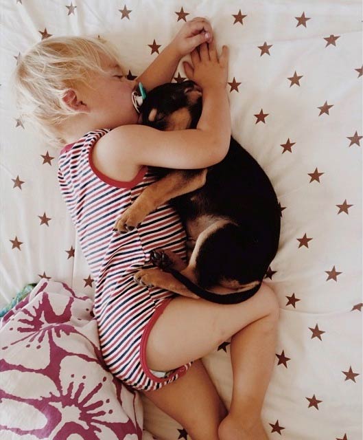 Toddler Napping with His Puppy