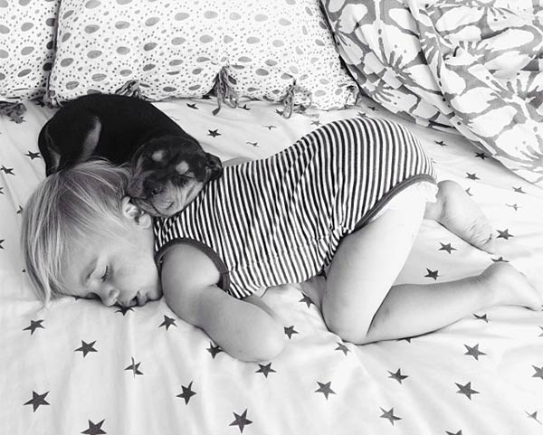 Toddler Napping with His Puppy