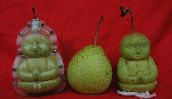 Baby Buddha-Shaped Pears