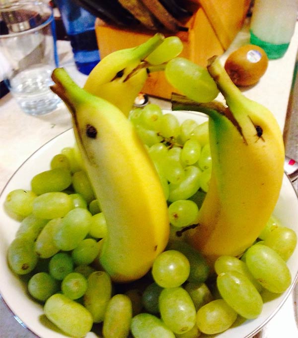 Banana Dolphins in the Sea of Grapes