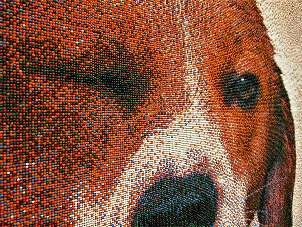 Beagle Portrait Made From 221,184 Sprinkles