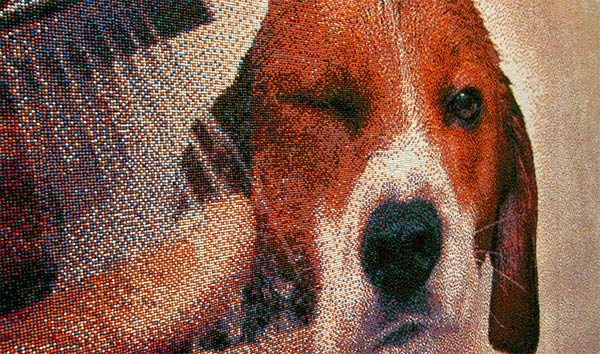 Beagle Portrait Made From 221,184 Sprinkles