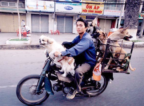 Bikes of Burden