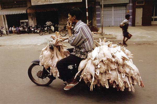 Bikes of Burden