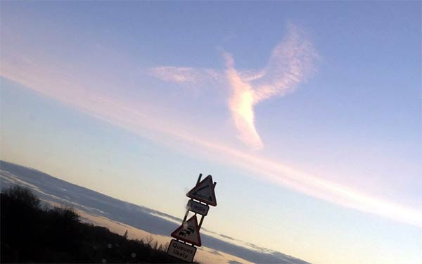 Giant Bird-Shaped Figure Appeared In The Sky