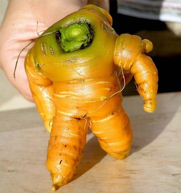 Buzz Lightyear-Shaped Carrot