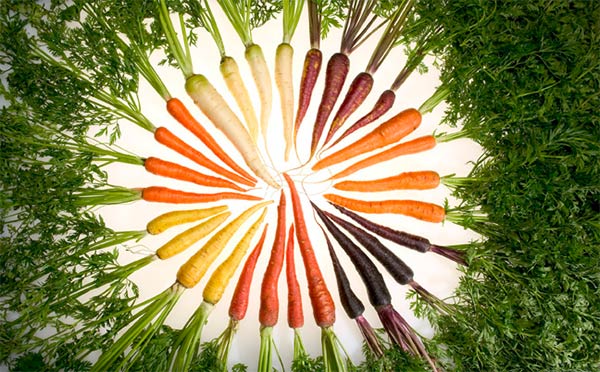 Carrot Rainbow