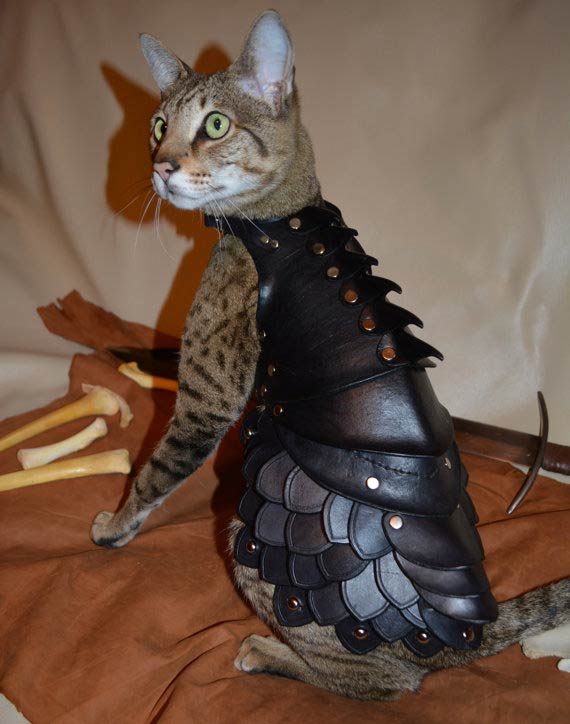 Cat Battle Armor