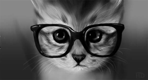 Cats wearing glasses